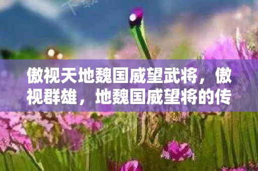 傲视天地魏国威望武将，傲视群雄，地魏国威望将的传奇故事