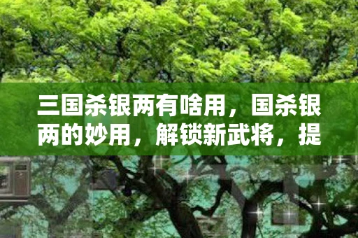 三国杀银两有啥用，国杀银两的妙用，解锁新武将，提升游戏乐趣