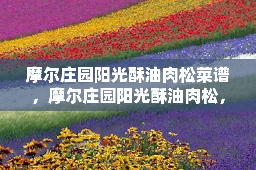 摩尔庄园阳光酥油肉松菜谱,摩尔庄园阳光酥油肉松,重温经典,品味童年 摩尔庄园阳光酥油肉松菜谱,摩尔庄园阳光酥油肉松,重温经典,品味童年