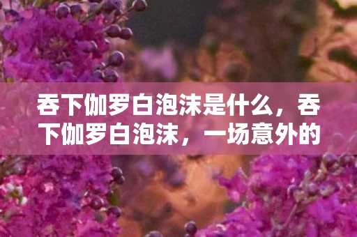 吞下伽罗白泡沫是什么，吞下伽罗白泡沫，一场意外的医学冒险