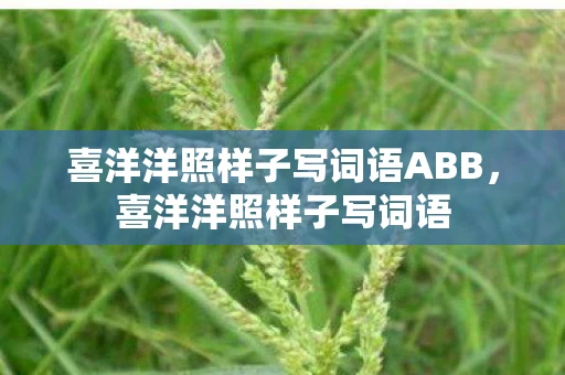 喜洋洋照样子写词语ABB，喜洋洋照样子写词语