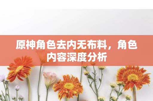 原神角色去内无布料图片