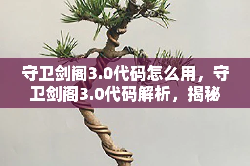 守卫剑阁3.0代码怎么用，守卫剑阁3.0代码解析，揭秘经典游戏的编程艺术