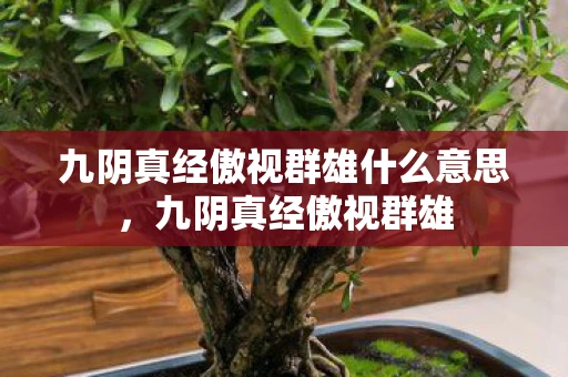 九阴真经傲视群雄什么意思，九阴真经傲视群雄