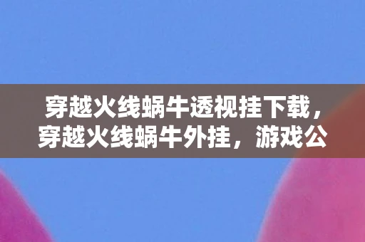 穿越火线蜗牛透视挂下载，穿越火线蜗牛外挂，游戏公平性的挑战与反思