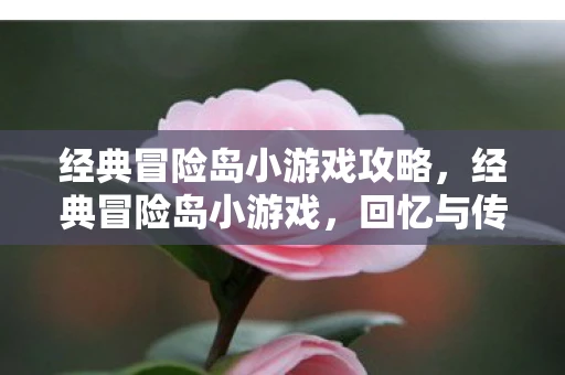 经典冒险岛小游戏攻略，经典冒险岛小游戏，回忆与传承