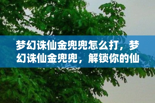 梦幻诛仙金兜兜怎么打，梦幻诛仙金兜兜，解锁你的仙侠奇缘