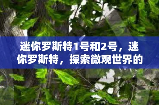 迷你罗斯特1号和2号，迷你罗斯特，探索微观世界的奇妙之旅