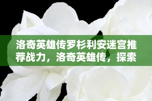 洛奇英雄传罗杉利安迷宫推荐战力，洛奇英雄传，探索罗杉利安迷宫的奇幻之旅