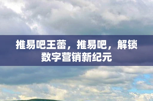 推易吧王蕾，推易吧，解锁数字营销新纪元