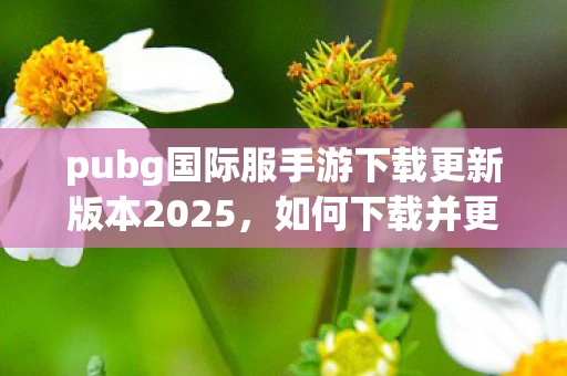 pubg国际服手游下载更新版本2025，如何下载并更新PUBG国际服手游至2023版本？
