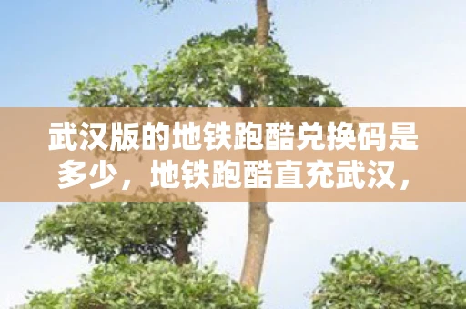 武汉版的地铁跑酷兑换码是多少，地铁跑酷直充武汉，解锁城市新玩法，体验极速奔跑的乐趣