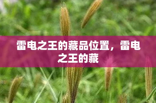 雷电之王的藏品位置，雷电之王的藏