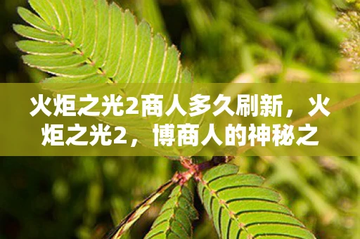 火炬之光2商人多久刷新,火炬之光2,博商人的神秘之旅 火炬之光2商人多久刷新,火炬之光2,博商人的神秘之旅