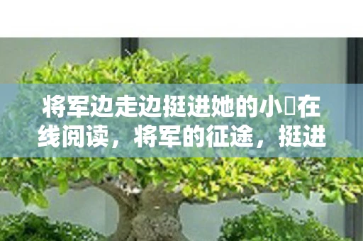将军边走边挺进她的小泬在线阅读，将军的征途，挺进她的小泬