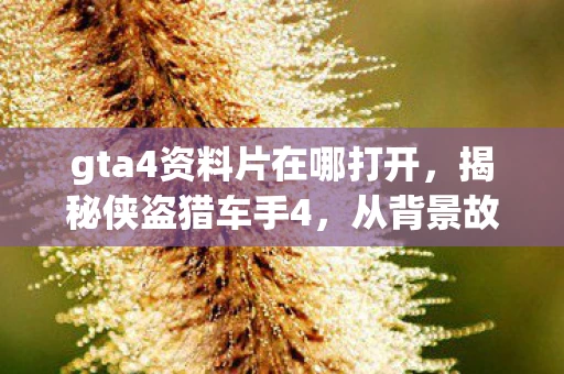 gta4资料片在哪打开，揭秘侠盗猎车手4，从背景故事到游戏机制的深度解析