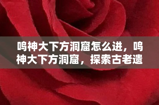 鸣神大下方洞窟怎么进，鸣神大下方洞窟，探索古老遗迹的奇幻之旅