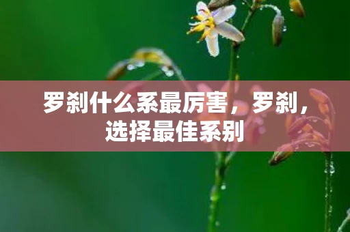 罗刹什么系最厉害，罗刹，选择最佳系别