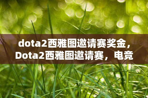 dota2西雅图邀请赛奖金，Dota2西雅图邀请赛，电竞盛宴的荣耀与梦想