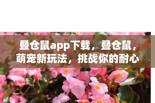 叠仓鼠app下载,叠仓鼠,萌宠新玩法,挑战你的耐心与创意 叠仓鼠app下载,叠仓鼠,萌宠新玩法,挑战你的耐心与创意