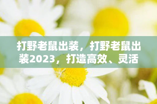 打野老鼠出装，打野老鼠出装2023，打造高效、灵活的刺客之路