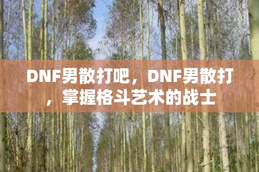 DNF男散打吧,DNF男散打,掌握格斗艺术的战士 DNF男散打吧,DNF男散打,掌握格斗艺术的战士