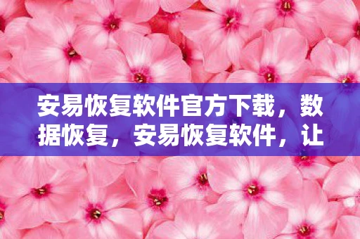 安易恢复软件官方下载，数据恢复，安易恢复软件，让数据失而复得