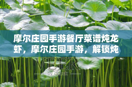 摩尔庄园手游餐厅菜谱炖龙虾，摩尔庄园手游，解锁炖龙虾的美味秘籍