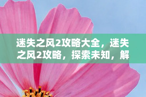 迷失之风2攻略大全，迷失之风2攻略，探索未知，解锁谜题