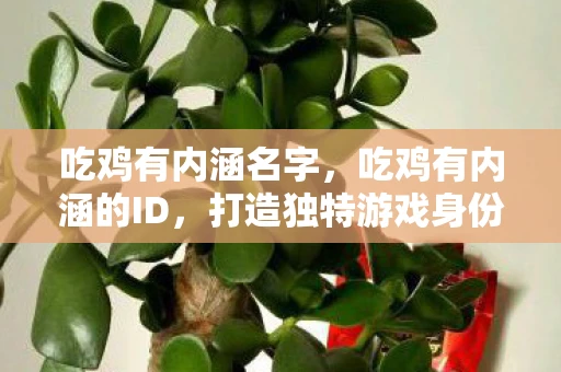 吃鸡有内涵名字，吃鸡有内涵的ID，打造独特游戏身份