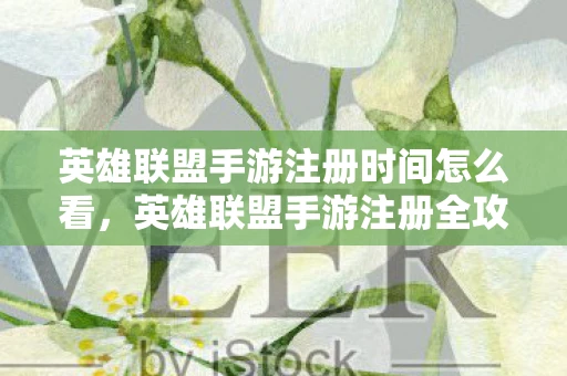 英雄联盟手游注册时间怎么看，英雄联盟手游注册全攻略，从零开始，打造你的游戏之旅