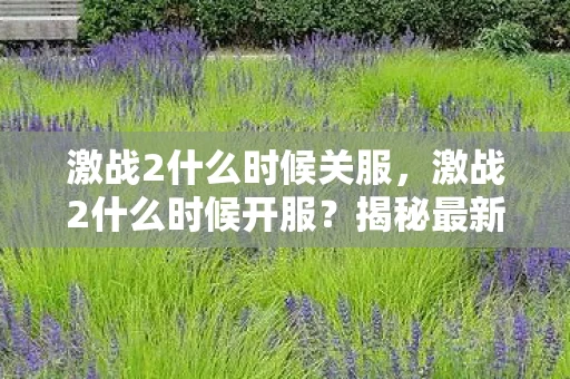 激战2什么时候关服,激战2什么时候开服?揭秘最新开服时间表 激战2什么时候关服,激战2什么时候开服?揭秘最新开服时间表