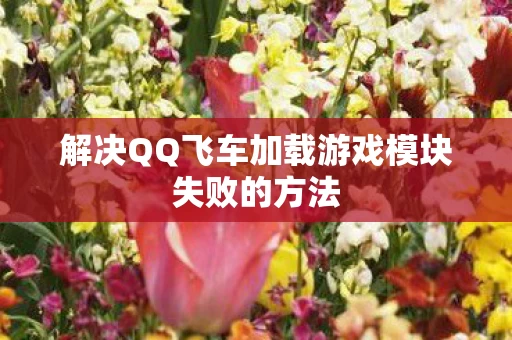 解决QQ飞车加载游戏模块失败的方法图片