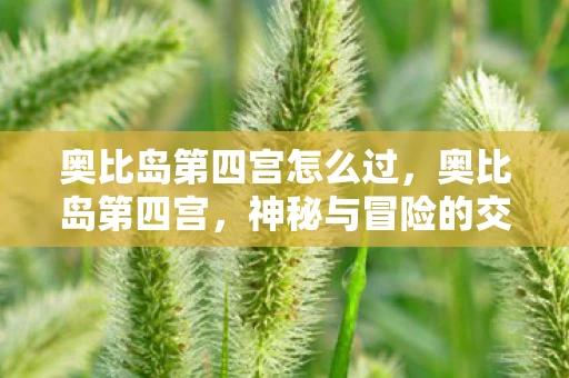 奥比岛第四宫怎么过，奥比岛第四宫，神秘与冒险的交汇点