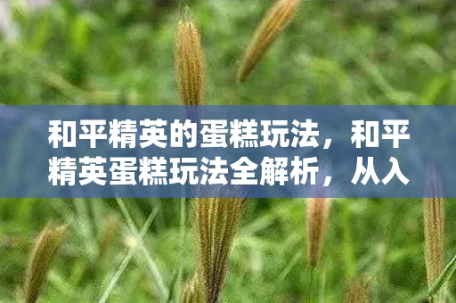 和平精英的蛋糕玩法，和平精英蛋糕玩法全解析，从入门到精通的攻略