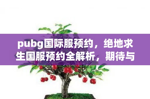 pubg国际服预约，绝地求生国服预约全解析，期待与现实的碰撞