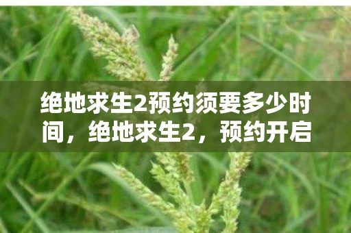 绝地求生2预约须要多少时间，绝地求生2，预约开启，新战场等你来战！