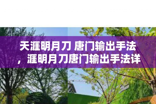 天涯明月刀 唐门输出手法，涯明月刀唐门输出手法详解