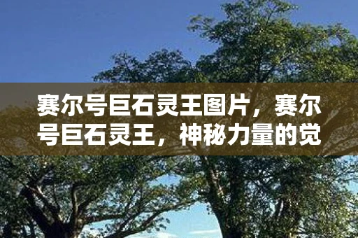 赛尔号巨石灵王图片,赛尔号巨石灵王,神秘力量的觉醒 赛尔号巨石灵王图片,赛尔号巨石灵王,神秘力量的觉醒