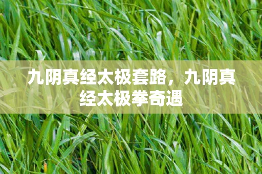 九阴真经太极套路，九阴真经太极拳奇遇