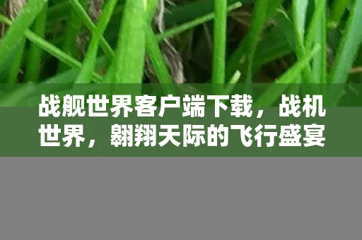 战舰世界客户端下载，战机世界，翱翔天际的飞行盛宴