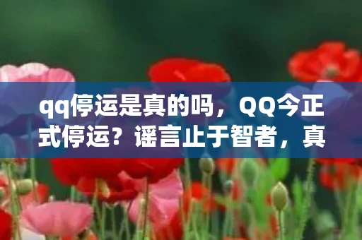 qq停运是真的吗,QQ今正式停运?谣言止于智者,真相在这里 qq停运是真的吗,QQ今正式停运?谣言止于智者,真相在这里
