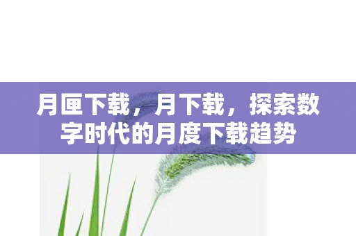 月匣下载，月下载，探索数字时代的月度下载趋势