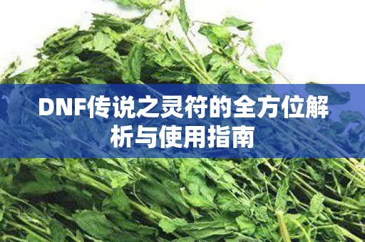 DNF传说之灵符的全方位解析与使用指南图片