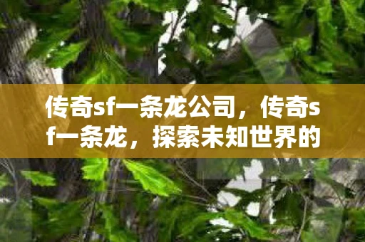 传奇sf一条龙公司,传奇sf一条龙,探索未知世界的奇幻之旅 传奇sf一条龙公司,传奇sf一条龙,探索未知世界的奇幻之旅