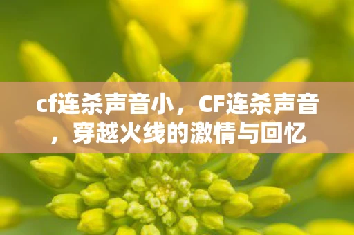 cf连杀声音小，CF连杀声音，穿越火线的激情与回忆