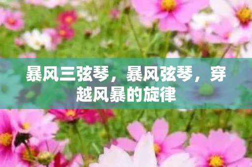 暴风三弦琴,暴风弦琴,穿越风暴的旋律 暴风三弦琴,暴风弦琴,穿越风暴的旋律