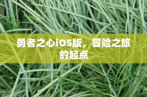 勇者之心iOS版图片