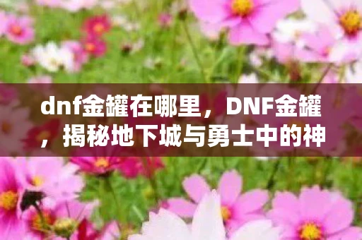 dnf金罐在哪里，DNF金罐，揭秘地下城与勇士中的神秘宝藏