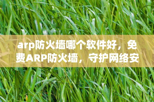 arp防火墙哪个软件好，免费ARP防火墙，守护网络安全的重要防线